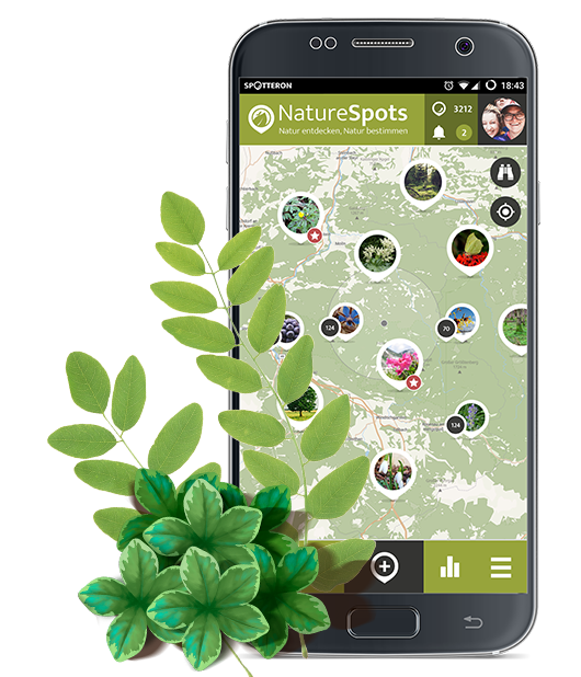 NatureSpots App with plants and leaves