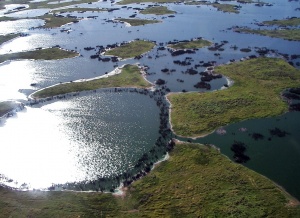 Flooded grassland