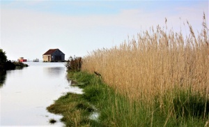 Baltic Sea