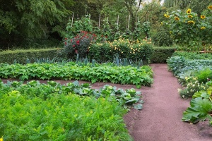 Garden agriculture