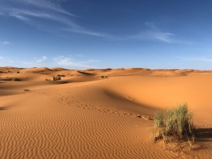 Sandy desert