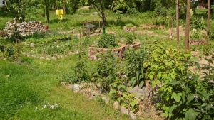 Permaculture