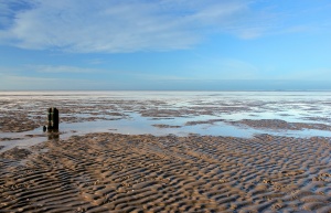 Mudflat