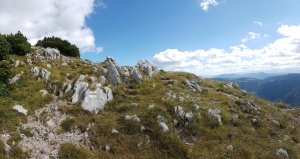 Alpine tundra