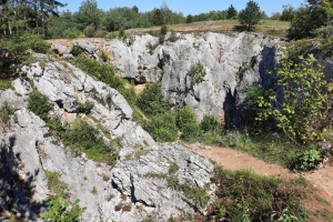 Rock areas